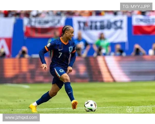 哈维·西蒙斯视野广