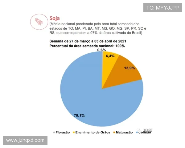 维尼修斯与马丁内利：巴西边锋成长路径分化解析